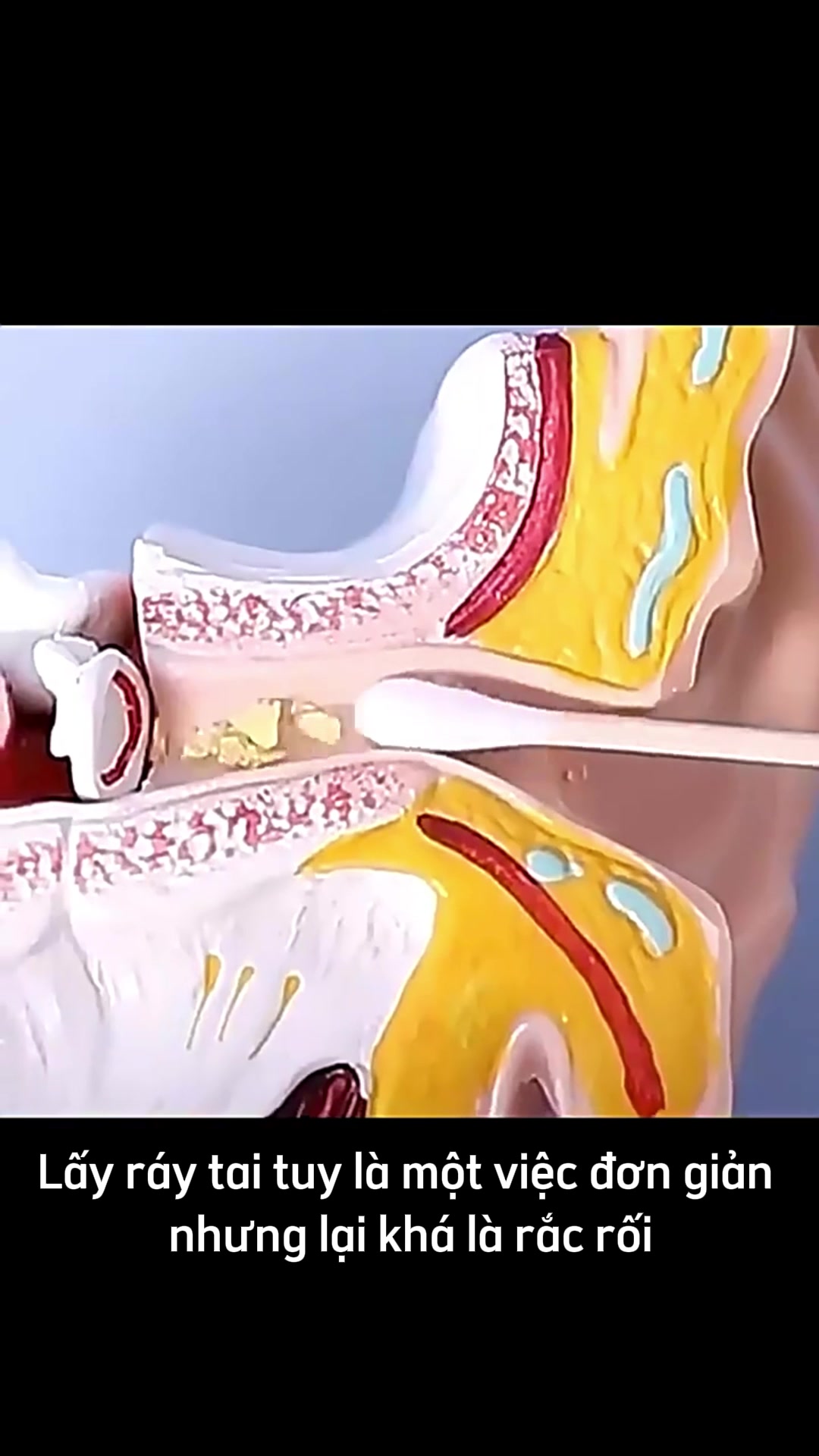 Video sản phẩm