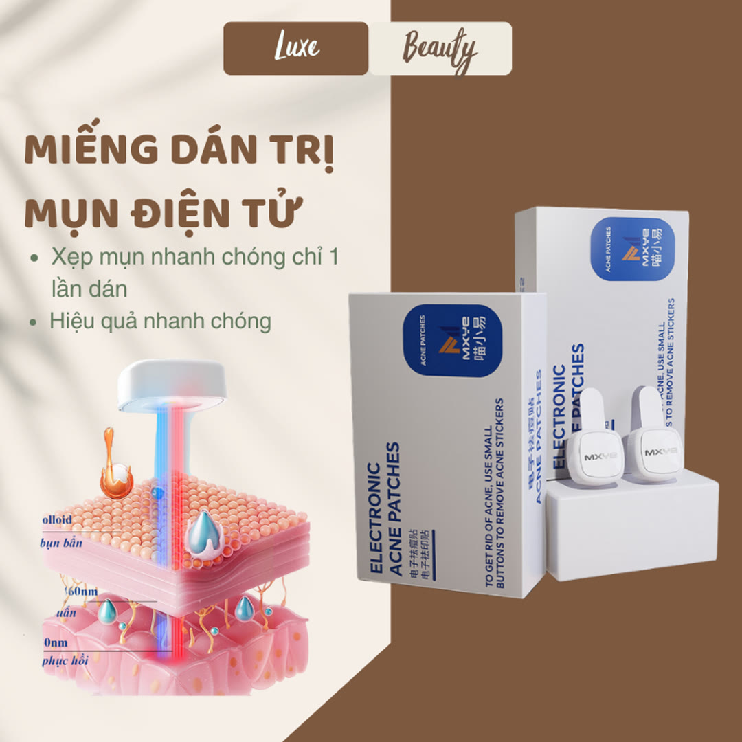 Ảnh 5