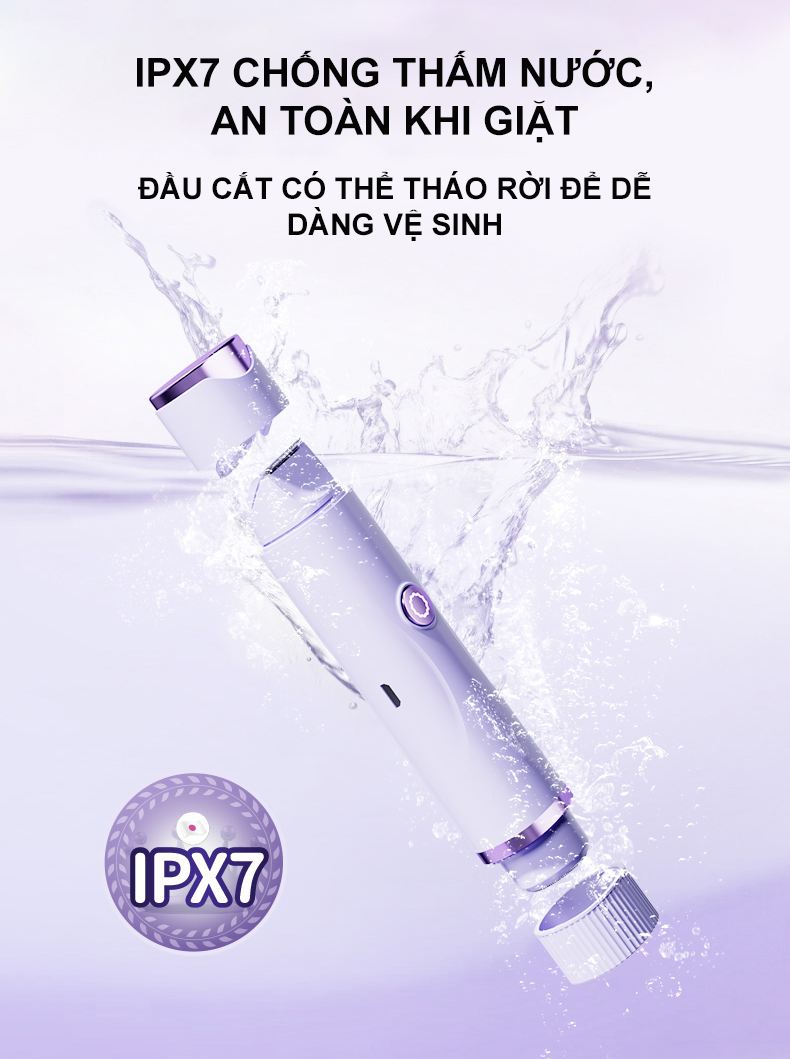 Ảnh 7
